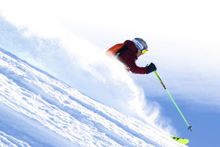 header-daniela-schuster